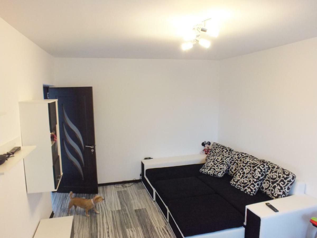 Sophia Apartament كونستانتا المظهر الخارجي الصورة